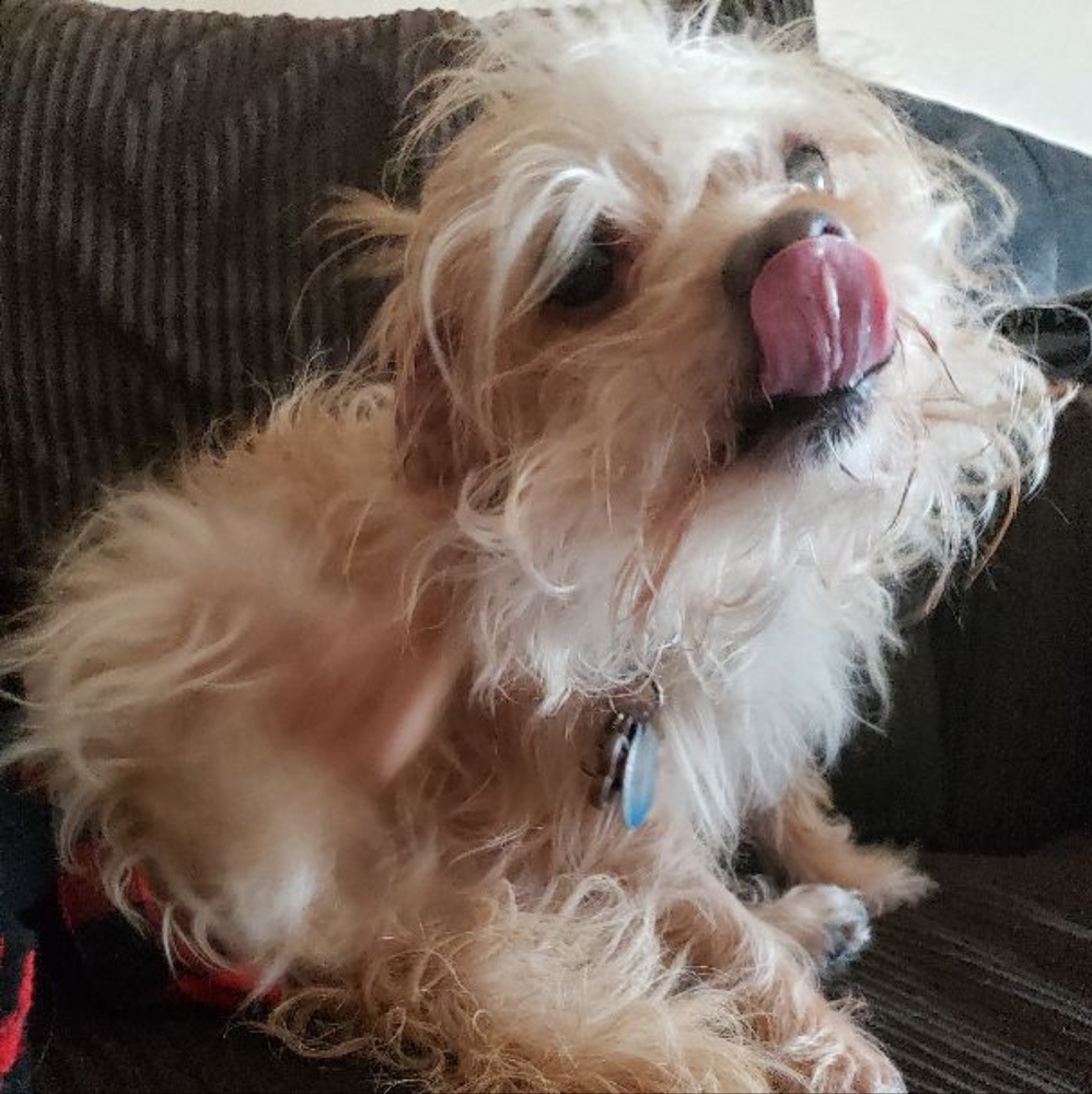 Totally new to Posh. I LOVE ALL FEEDBACK!